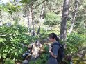 2014-07-03 12-29-40 Rando foret de Nemours APr